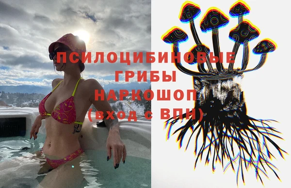 сатива Верхний Тагил