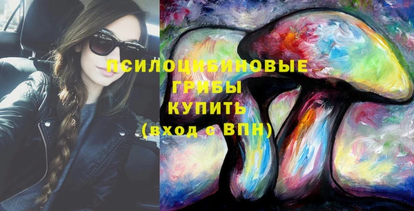 прущий лед Верея