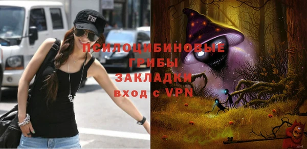 прущий лед Верея