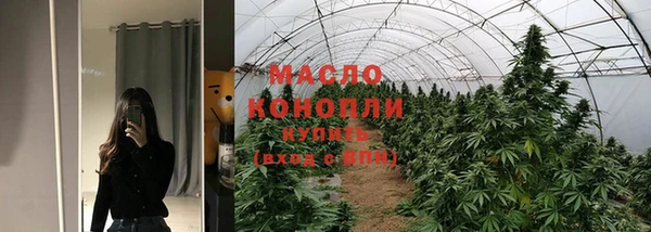 сатива Верхний Тагил